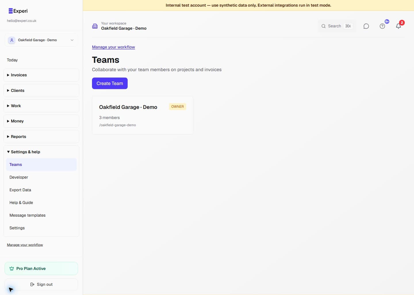 Team members with owner-controlled access revocation and a pending viewer invitation.